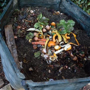 Compost