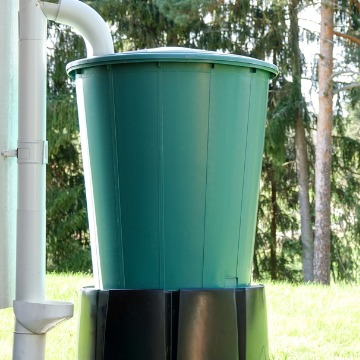 Collect rainwater